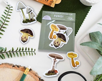 British Fungi Sticker Pack, mycology art, fungi lover gift, foraging illustration, limited edition mushroom art, mushroom vinyl stickers