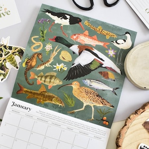 Calendario reciclado de hábitats de vida silvestre británica 2026 / Planificador diario ilustrado para amantes de la naturaleza y la vida ecológica