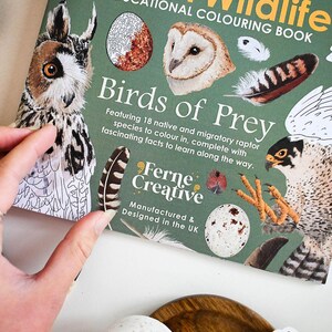 British Bird of Prey Colouring Book – Educational Fun for Kids & Adults, Nature Learning, Wildlife Art Activities