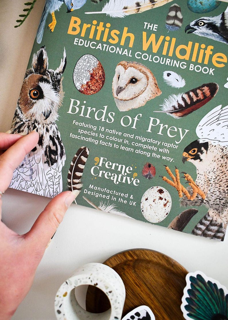 British Bird of Prey Colouring Book – Educational Fun for Kids & Adults, Nature Learning, Wildlife Art Activities