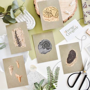 Seconds Illustrated Fossil Postcard Set - Sale