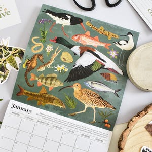 Recycled British Wildlife Habitats Calendar 2027 | Illustrated Daily Planner for Nature Lovers & Eco-Friendly Living