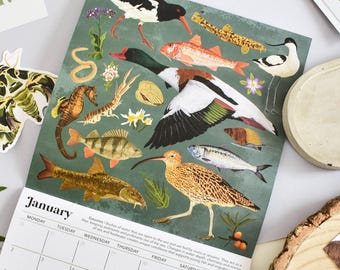 Calendario de hábitats de vida silvestre británica reciclados 2027 / Agenda diaria ilustrada para amantes de la naturaleza y un estilo de vida ecológico