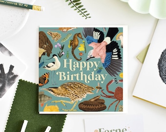 British Wildlife birthday card, Bird watching, bird illustration, biology gifts, ecology card, nature lover card, natural history