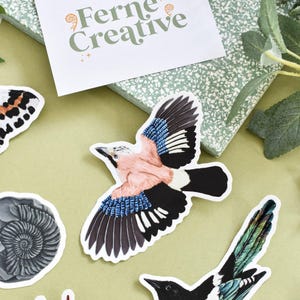 Pegatina de vinilo de arrendajo euroasiático / Calcomanía inspirada en la naturaleza para amantes de las aves / Arte ecológico e impermeable para regalar en casa