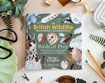 British Bird of Prey Colouring Book – Educational Fun for Kids & Adults, Nature Learning, Wildlife Art Activities