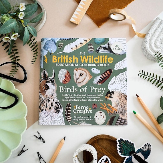 British Bird of Prey Colouring Book – Educational Fun for Kids & Adults, Nature Learning, Wildlife Art Activities
