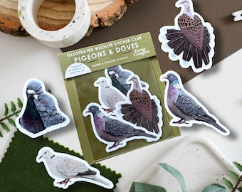 Doves & Pigeons Vinyl Sticker Pack, Pigeon gifts, Pigeon vinyl sticker pack, Wood pigeon, Collared Dove, Feral Pigeon, Turtle Dove Stickers