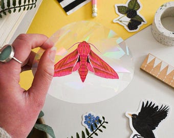 Elephant Hawk-Moth Suncatcher Window Decal, Rainbow Maker, suncatcher stickers, Moth Lover Gift, moth window cling, Entomology Lovers