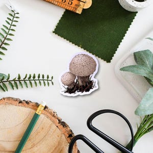 Puffball Mushroom Sticker | Fungi Vinyl Sticker, Nature Lover Gift, Foraging Art Decor, Cute Ecological Sticker