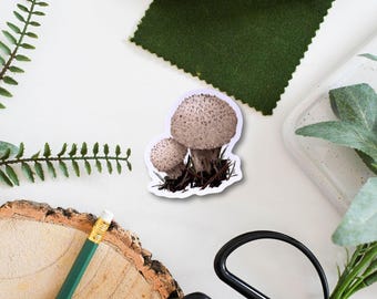 Pegatina de hongo bejín / Pegatina de vinilo de hongos, regalo para amantes de la naturaleza, decoración artística de recolección, linda pegatina ecológica