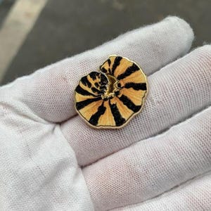 Cinnabar Moth Caterpillar Pin