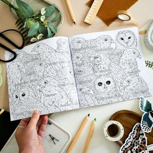 British Bird of Prey Colouring Book – Educational Fun for Kids & Adults, Nature Learning, Wildlife Art Activities