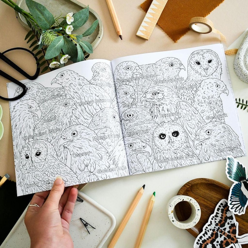 British Bird of Prey Colouring Book – Educational Fun for Kids & Adults, Nature Learning, Wildlife Art Activities