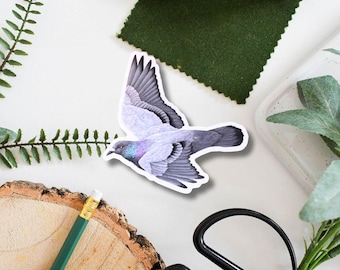 Rock Dove / Pigeon Illustrated Vinyl Sticker, flying pigeon sticker, British wildlife art, pigeon appreciation, bird laptop decal