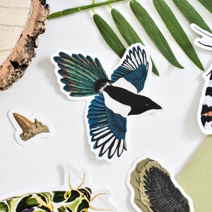 Magpie vinyl decal, Bird laptop sticker, Magpie illustration, Witch Stickers, bird lover gift, british wildlife stickers, Bird watching