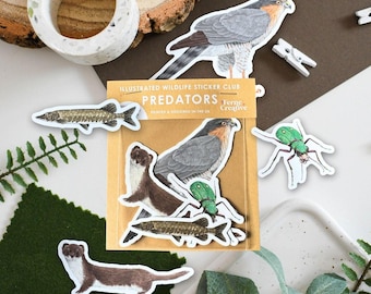 Predators Vinyl Sticker Pack, Limited edition bundle, Sparrowhawk, Weasel, Pike, Tiger Beetle, British Wildlife set, Fisherman Gift
