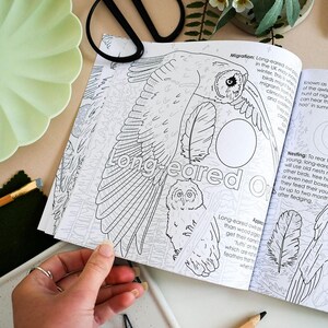 British Bird of Prey Colouring Book – Educational Fun for Kids & Adults, Nature Learning, Wildlife Art Activities