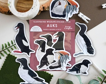 Auks Vinyl Sticker Pack, Limited Edition Seabird Vinyl Stickers, Puffin, Razorbill, Guillemot, Sea Bird Illustration Art, Birdwatching Gift