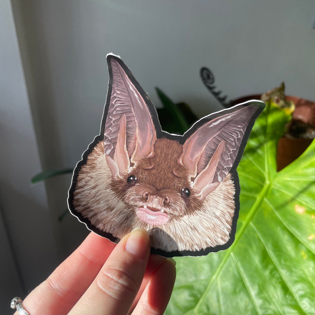 Longeared Bat Stickers Vinyl Sticker Halloween Stickers Etsy