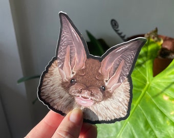 Long-eared Bat stickers, vinyl sticker, Halloween Stickers, Nature Sticker, Bat Gift, Laptop Decal, Witch Stickers, gift for naturalist