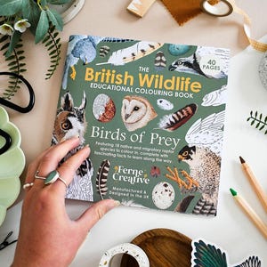 British Bird of Prey Colouring Book – Educational Fun for Kids & Adults, Nature Learning, Wildlife Art Activities