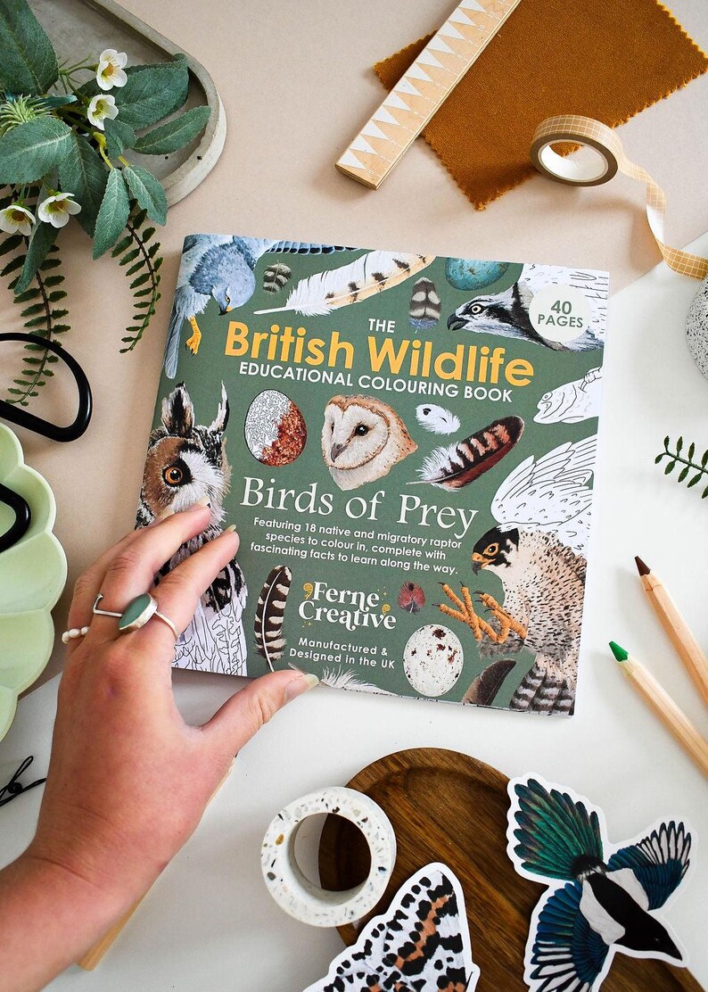 British Bird of Prey Colouring Book – Educational Fun for Kids & Adults, Nature Learning, Wildlife Art Activities