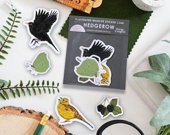 Hedgerow Wildlife Sticker Pack, british wildlife vinyl stickers, birdwatching gift, bird art, butterfly decal, limited edition stickers