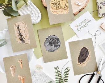 Fossil art, Postcard set, A6 wall art, Paleontology Gift, Ammonite fossil, Gallery Wall Set