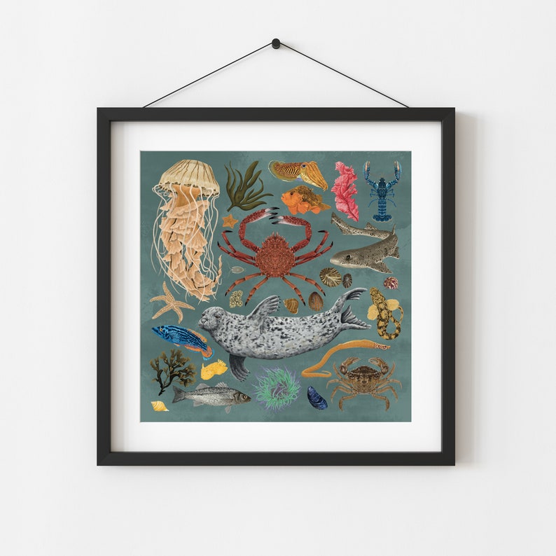 Marine life, Sea creatures, Natural history, Marine biology gift, sea life, Scuba Diver Gift, Coastal wall, beach house decor, Under The Sea image 1