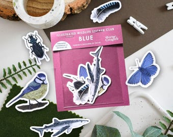 Blue Wildlife Vinyl Sticker Pack. Blue tit bird sticker, Butterfly sticker, Shark Stickers, Beetle lover