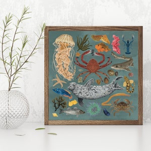 Marine life, Sea creatures, Natural history, Marine biology gift, sea life, Scuba Diver Gift, Coastal wall, beach house decor, Under The Sea image 4