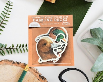 Dabbling Ducks Vinyl Sticker Pack, bird vinyl sticker set, bird watching, bird lover gift, British Wildlife illustration