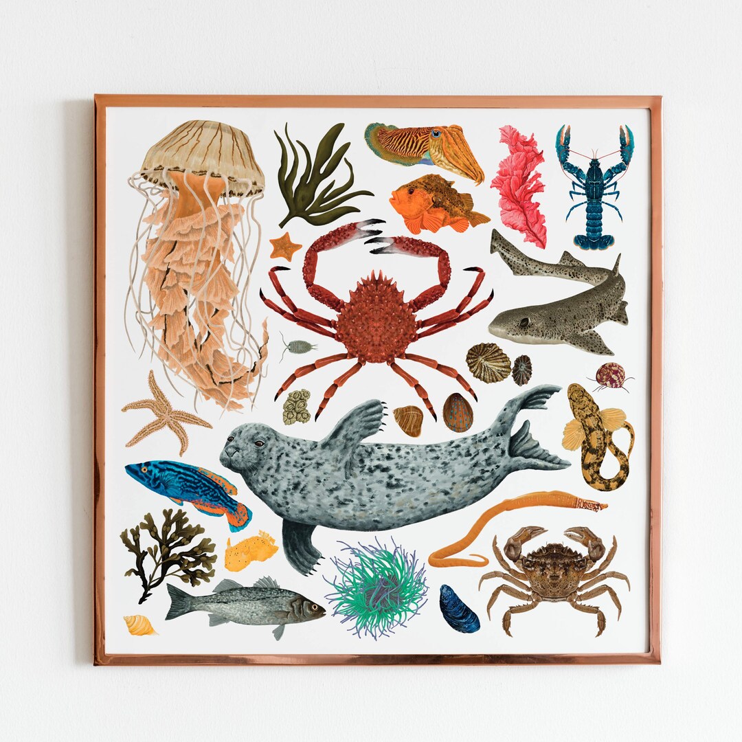 Sandy Trousers - Ocean Life Art Print
