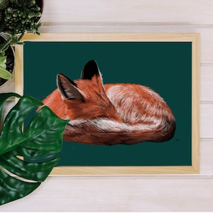 Impression de renard roux endormi - Art de fond bleu sarcelle, décoration animal mignon de la forêt