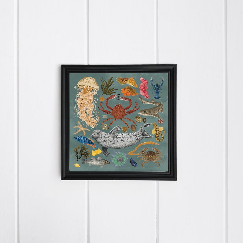 Marine life, Sea creatures, Natural history, Marine biology gift, sea life, Scuba Diver Gift, Coastal wall, beach house decor, Under The Sea image 6