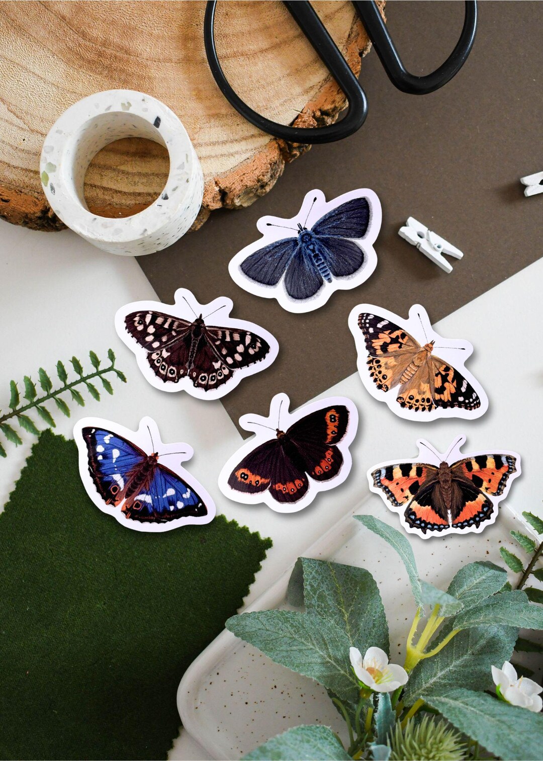 Buttrfly Sticker British Butterfly Vinyl Sticker Bundle - Etsy