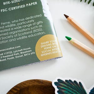British Bird of Prey Colouring Book – Educational Fun for Kids & Adults, Nature Learning, Wildlife Art Activities