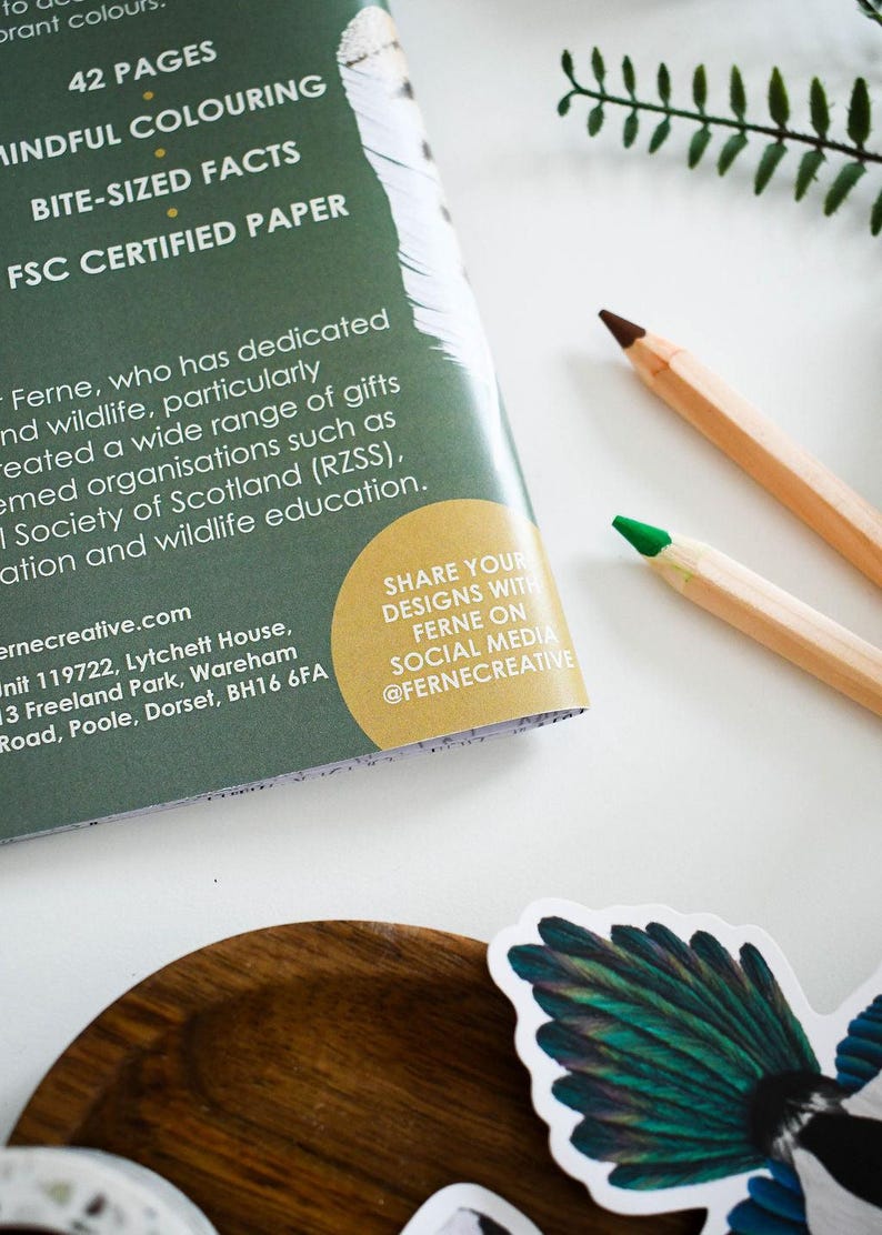 British Bird of Prey Colouring Book – Educational Fun for Kids & Adults, Nature Learning, Wildlife Art Activities
