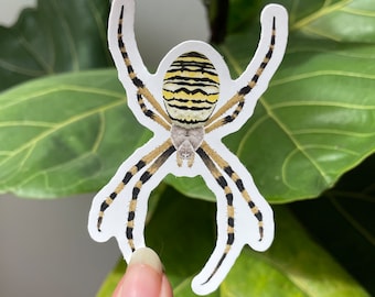 Wasp Spider vinyl sticker, Halloween Stickers, Laptop Stickers, Nature Sticker, Natural History, Nature Lover Gift, Spooky Sticker