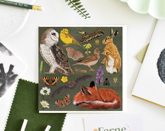 Grassland Wildlife Greetings Card, British Nature-Themed Illustrated Card with Barn Owl, Hare, Red Fox, Perfect for Nature Lovers