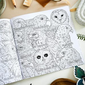 British Bird of Prey Colouring Book – Educational Fun for Kids & Adults, Nature Learning, Wildlife Art Activities