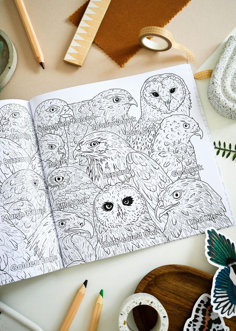 British Bird of Prey Colouring Book – Educational Fun for Kids & Adults, Nature Learning, Wildlife Art Activities