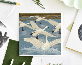 Arrival of Bewick's Swans' Illustrated Card, White swan art print on blank greetings card for bird lovers