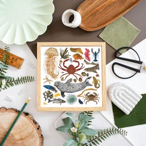 Marine Life print, Natural history, Marine biology, Coastal wall art, Under The Sea, Sea creature, Scuba Diver Gift, Crabs art, Jellyfish