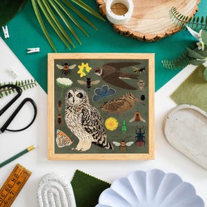 Stampa di animali selvatici di Soft Cliff / Arte murale con natura marittima, illustrazione di uccelli costieri, arredamento rustico per la casa, paesaggio oceanico, regalo per gli amanti della natura