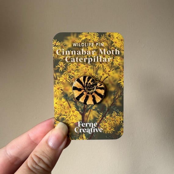 Cinnabar Moth Caterpillar Pin, Wildlife Enamel Pin, Caterpillar Pin Badge, Gardeners Gift, Small Meaningful gift, Conservation Gift