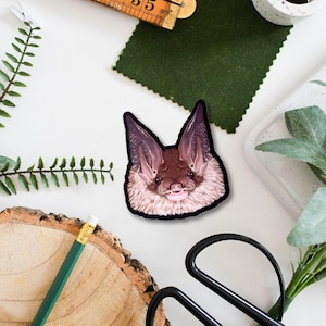 Long-eared Bat Sticker | Cute Animal Decor | Wildlife Gift | Laptop & Water Bottle Decal | Nature Lover&#39;s Accessory