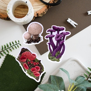 Fungi Vinyl Sticker Bundle - Amethyst Deciever, Puffball & Scarlet Elf Cup Stickers for Nature Lovers, Eco-Friendly Decor