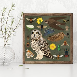 Maritime soft cliff, Naturalist Gift, Owl Decor, insect art, Bird watcher, nature home decor, bird illustration, Owl Decor, insect art